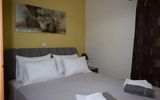 Astrantia-Adults Only