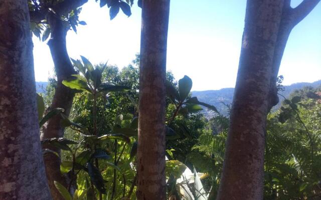 Les Jardins d'Arbousse