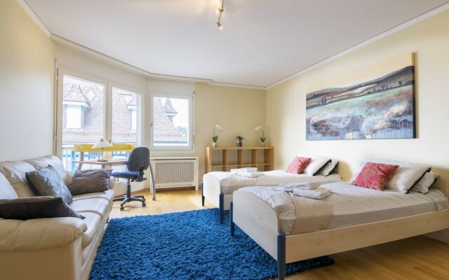 Alpine Stunning Apartment in Montreux