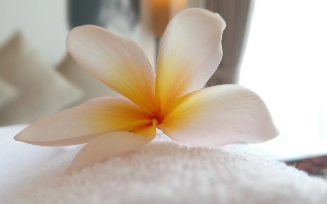 Louis Kienne Cikarang Hotel & Service Apartment