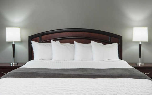 Viscount Gort Hotel