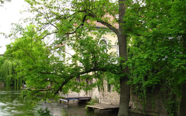 Ferienwohnung Erfurt