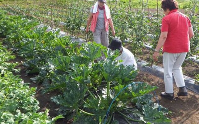 Hotel Chene Kijimadaira