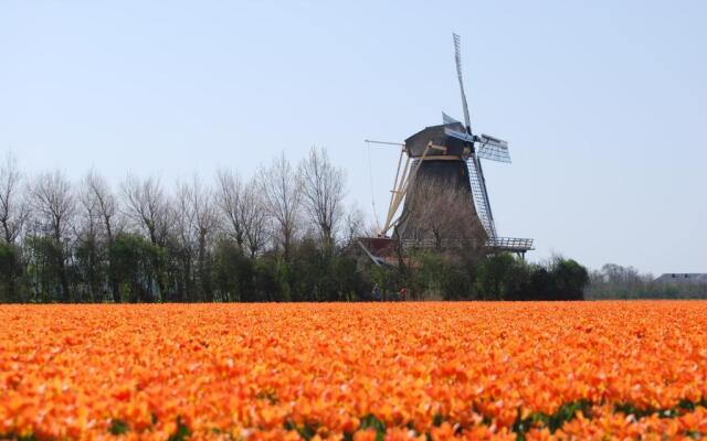 B&B Idylle aan Zee incl 2 Wellnessstudios