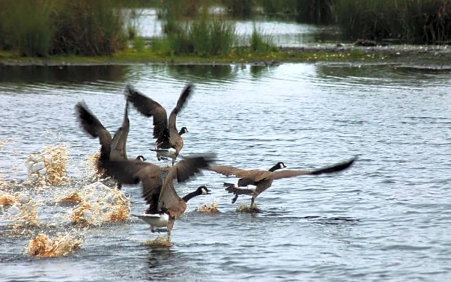 Stichting Veenloopcentrum Weiteveen