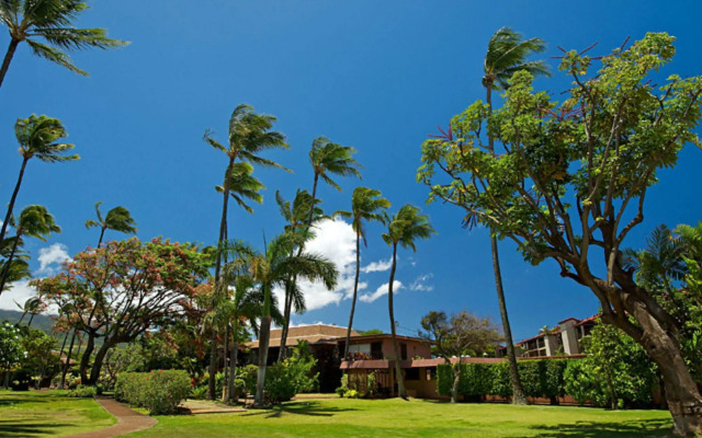 Maui Sands