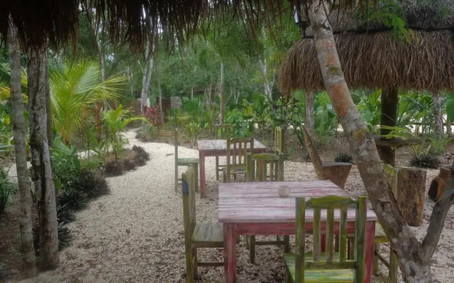 Casa Mango