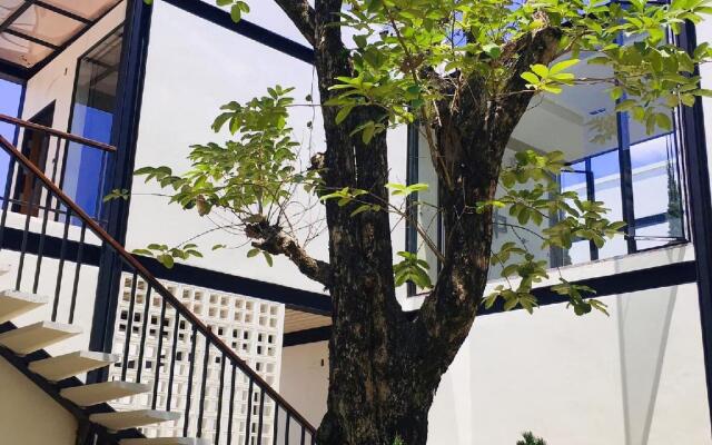 The Gold Living Life