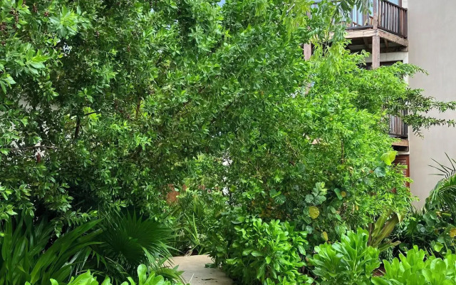 Nerea Tulum