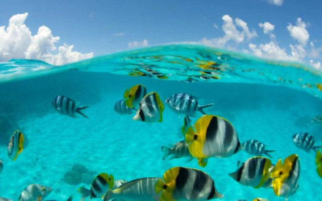 Le Maitai Rangiroa