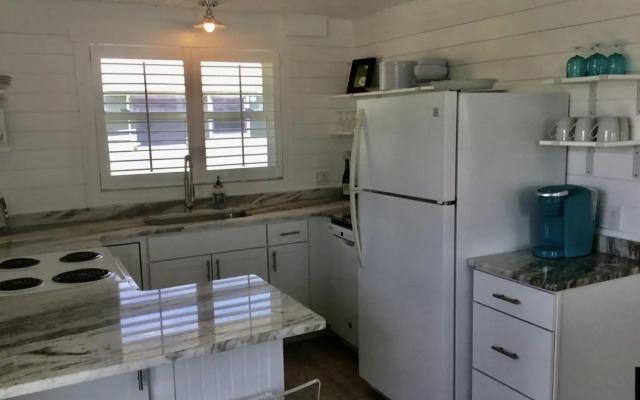 AMI Sand Dollar - 6403 B Holmes