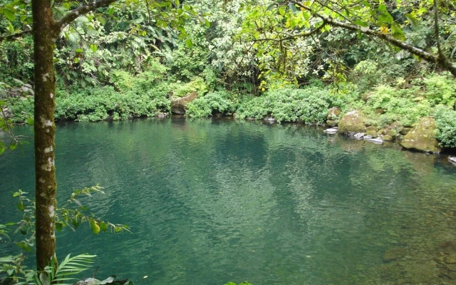 Poza Reyna Ecoreserva