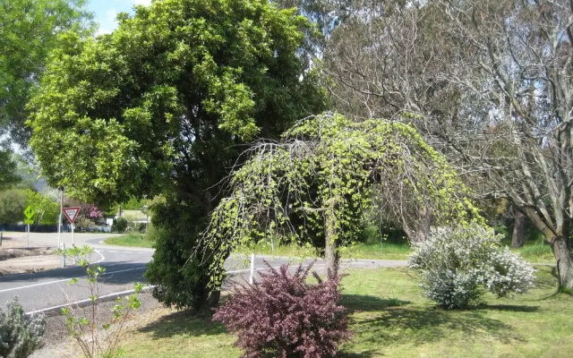 Nathan's Place