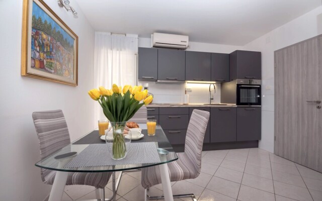 Brand new apartment Ksenia