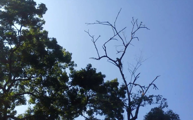 Teakvilla Hotel and Restaurant