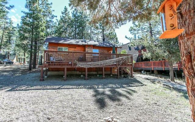 1668 - Finch Nest by RedAwning