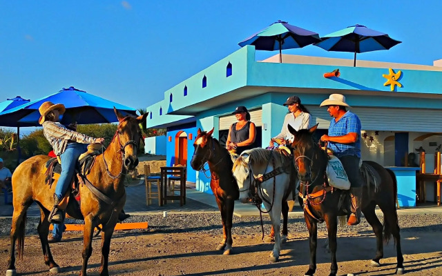 Villa Star of the Sea - Adults Only