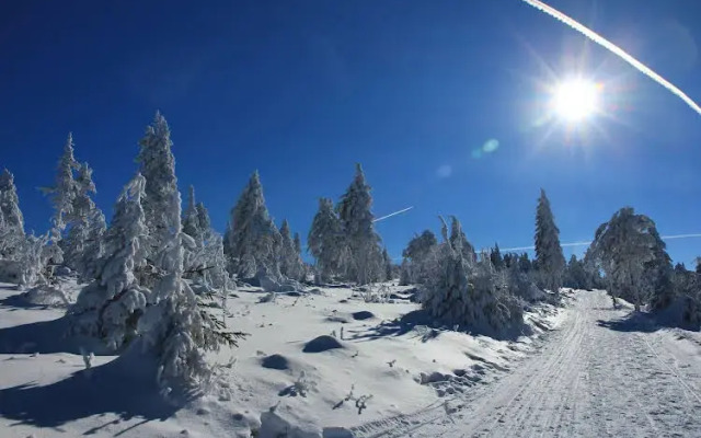Pension Haus am Berg