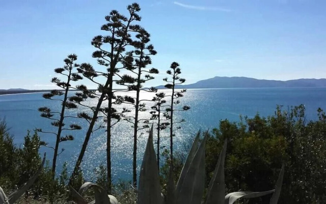 Verdidea - TORRE SPAGNOLA