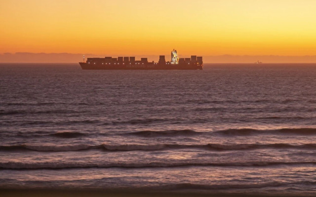 African Beauty at The Bay