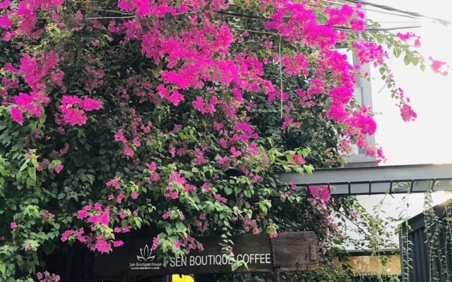 Sen Boutique Homestay