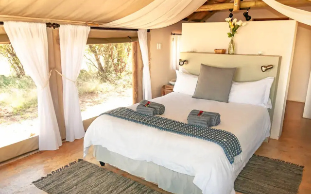 B'sorah Luxury Tented Camp