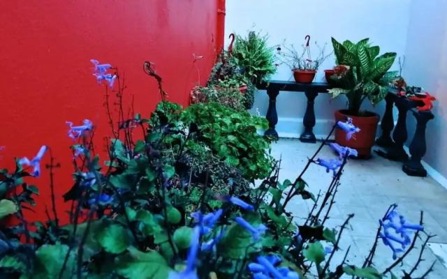 Moctezuma s House Hotel