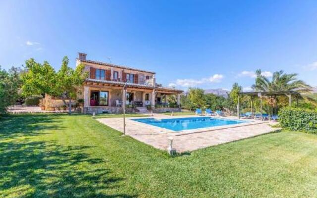L'Olivar