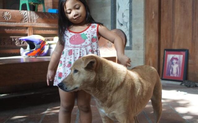Tari Bed & Breakfast