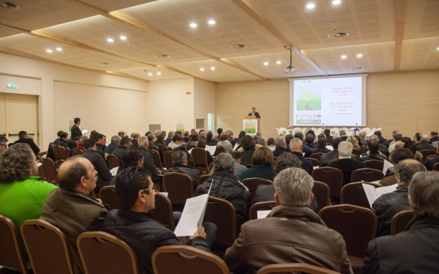 Best Western Plus Leone di Messapia Hotel & Conference