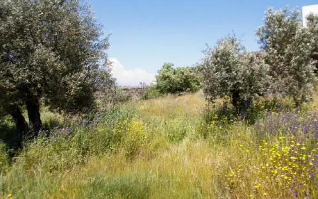 Quinta Serra De Sao Mamede