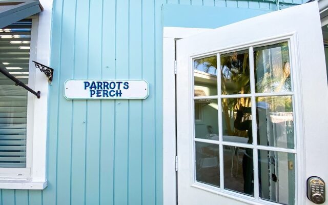 Parrots Perch at Driftwood #7