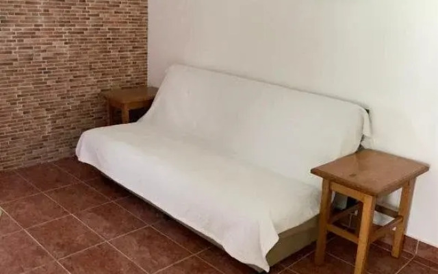 Paflora