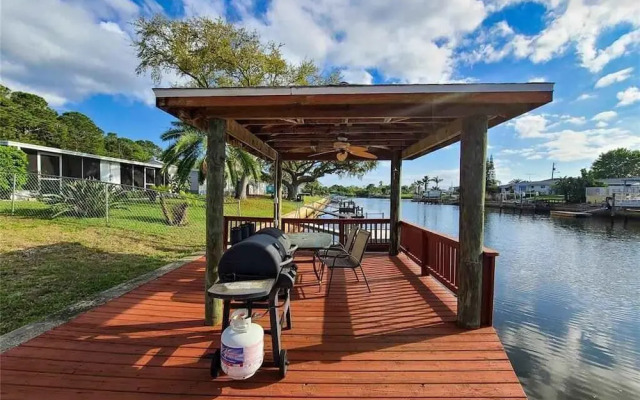 Enjoy Sunset with Dolphin and Manatee