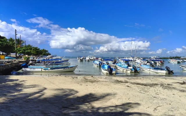 Estrella Dominicus - Dominican Experience