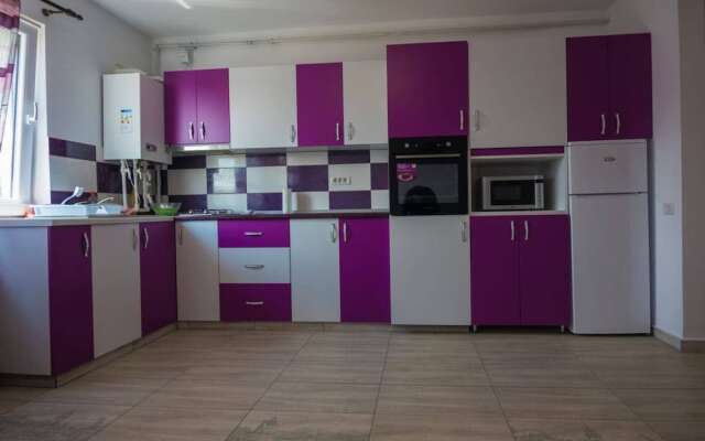 Captivating 1-bed Studio in Roșu