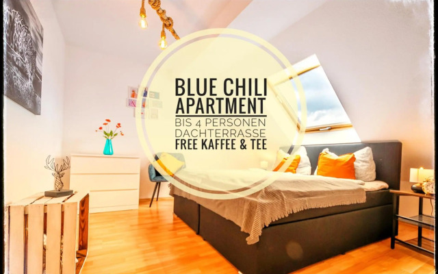 Schöne Dachterasse NETFLIX & PRIME Zentral Modern bis 4 Pers