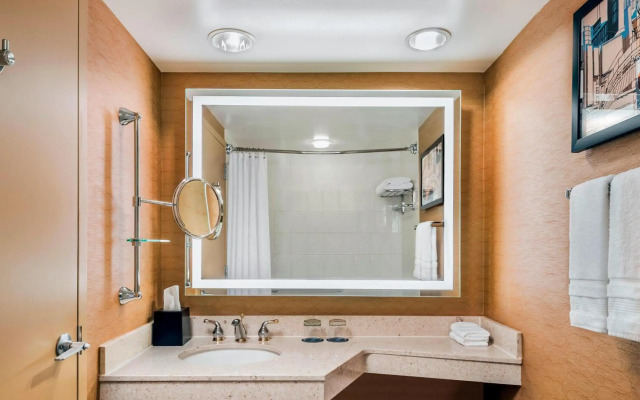 Sheraton Toronto Airport Hotel & Conference Centre