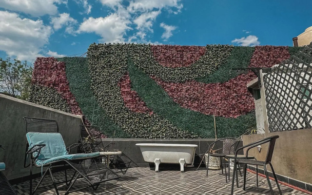 Condesa Haus Rentals