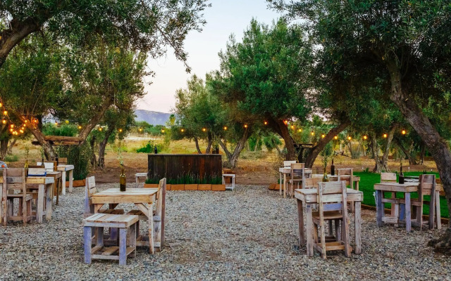 Guadalupe Valle Glamping