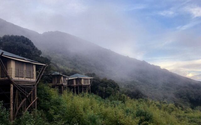 Vinetree Gaoligong Tented Resort