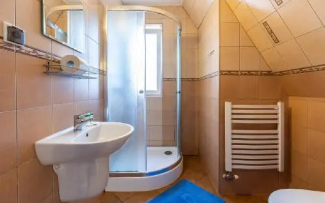 Brzoza w centrum Zakopanego