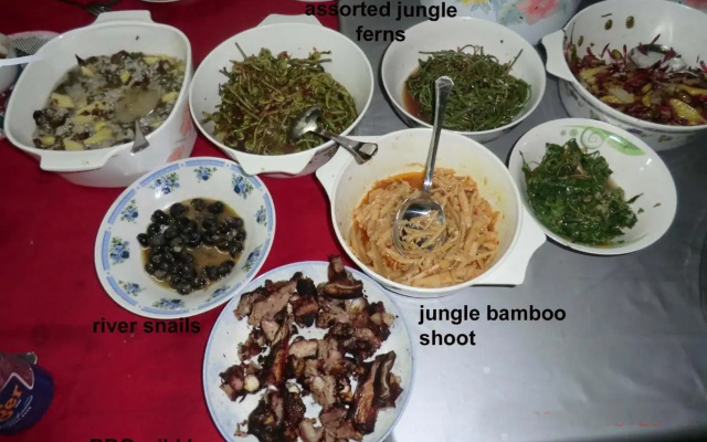 Mulu Village – Meal – Mulu