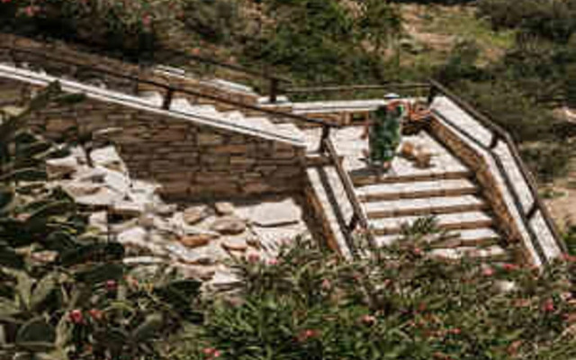 Paralos The Maxine - Adults Only