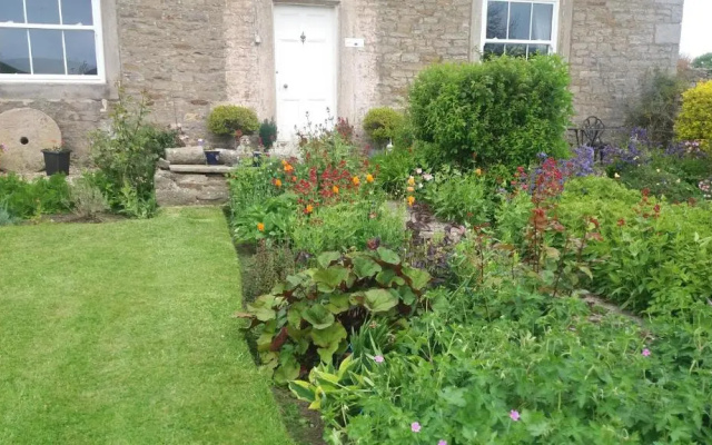 Lily Hill Farm