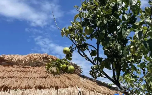 Shanxun Luxury Homestay (Dali Ancient City)
