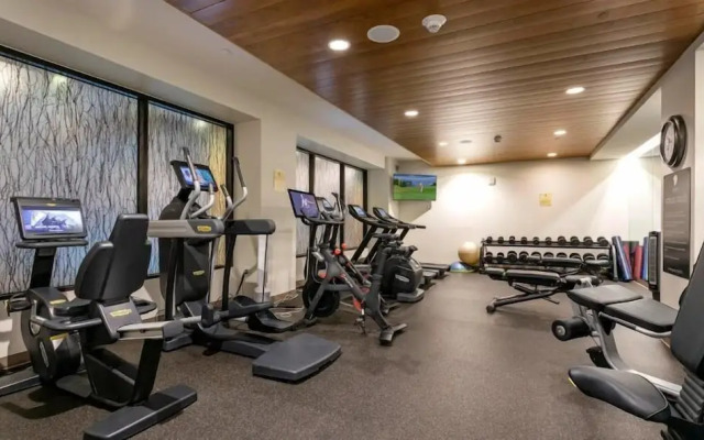 Vail Lion 2 Bedroom Mountain Vacation Rental Just Steps From the Eagle Bahn Gondola