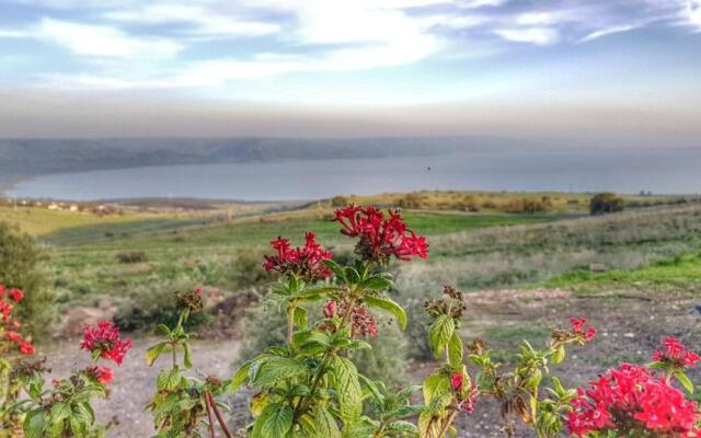 Sea Of Galilee Site