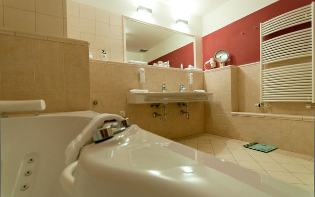 Comfort Hotel Usti nad Labem City