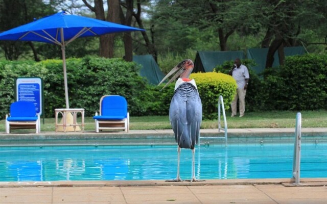 Lake Bogoria Spa Resort